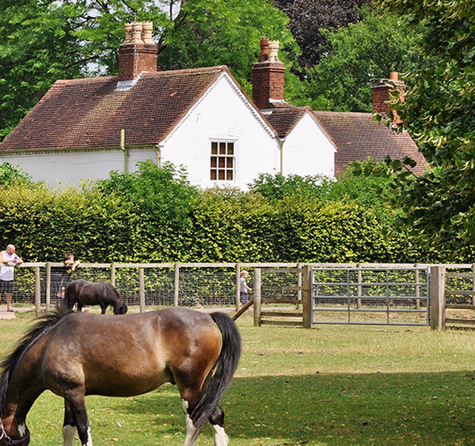 Birmingham's Perfect Summer Walks